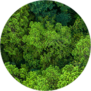 旺财28-科技赋能场景,让娱乐更有趣!-pgwc 智造60⁺年 畅销140⁺国